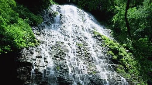 自动化高端